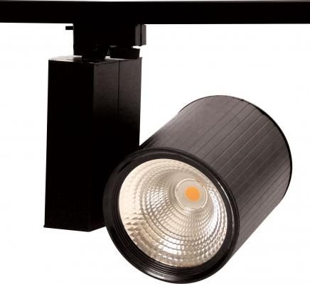 Ray Spot 20-30-40W 220V