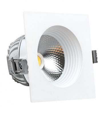 Cob Led Downlight Spot 220V